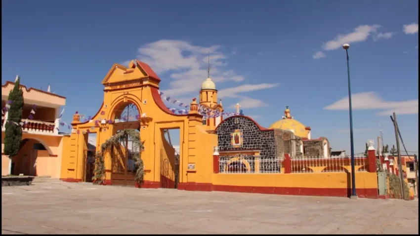Bosque de Maíces te invita a vivir la Temporada de Quelites