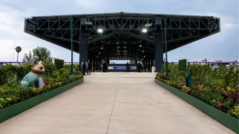 Imagen del artículo Conexión de Chabacano al Jardín Flotante de Tlalpan ya está abierta