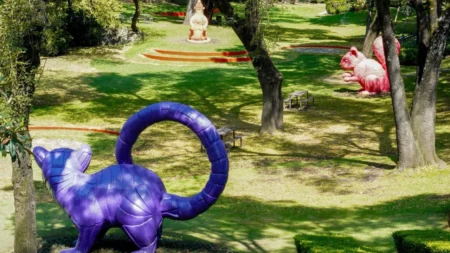 Imagen del artículo Curso de verano gratis en CDMX: Los Pinos abre actividades para niños y adolescentes