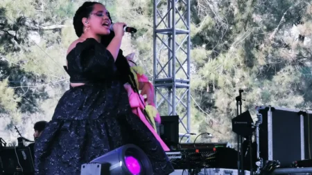 Pitchfork Music Festival