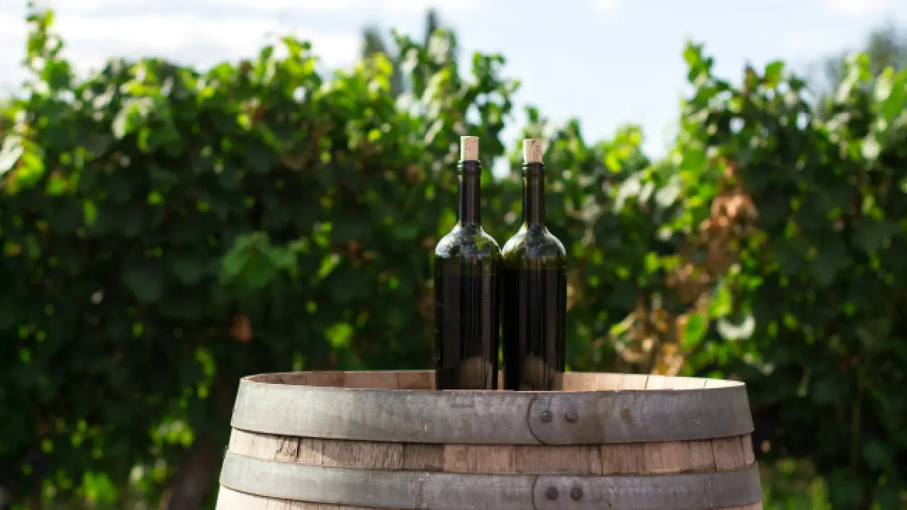 Más de 80 vinícolas participarán en la Muestra del Vino 2026 de Baja California