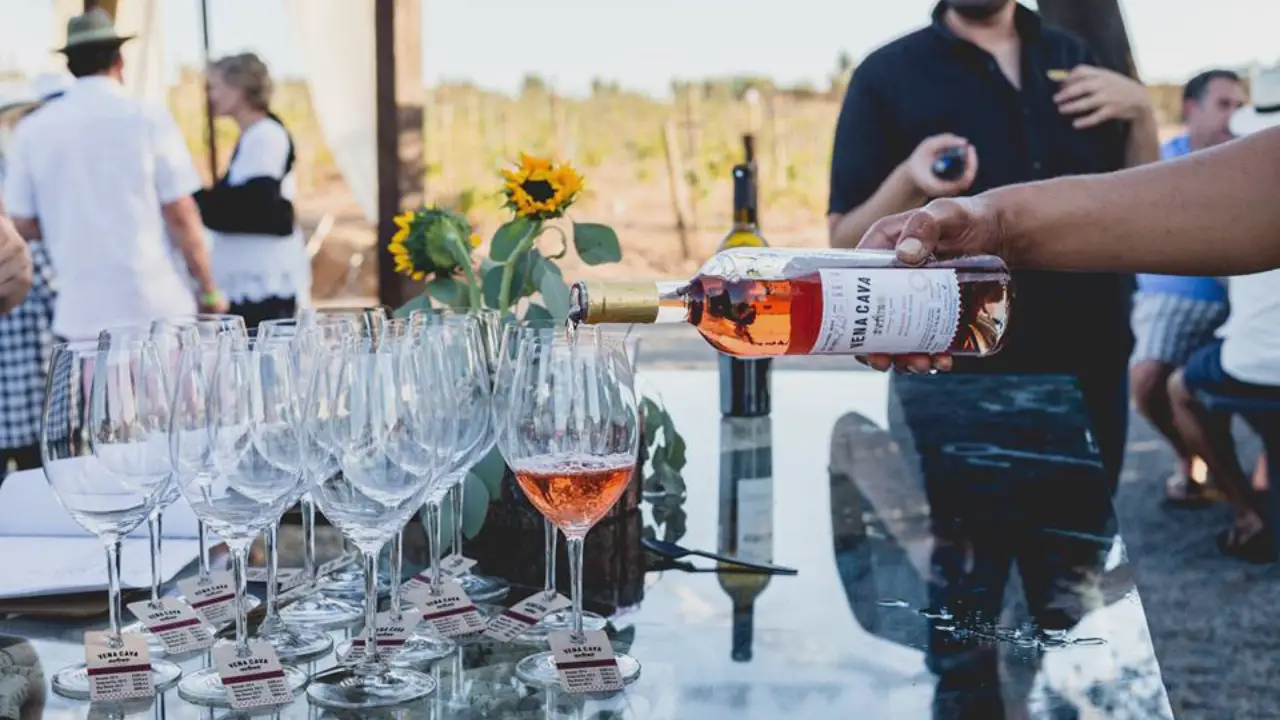 Muestra del Vino en Ensenada reunirá etiquetas, gastronomía y música en vivo