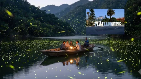 El recorrido incluye visitas a cascadas, miradores y la presa de Tlatlauquitepec, donde al caer la noche los visitantes pueden observar el brillo de las luciérnagas desde una lancha, en uno de los espectáculos naturales más llamativos del verano.