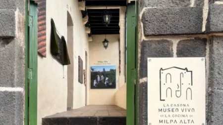 nuevo museo