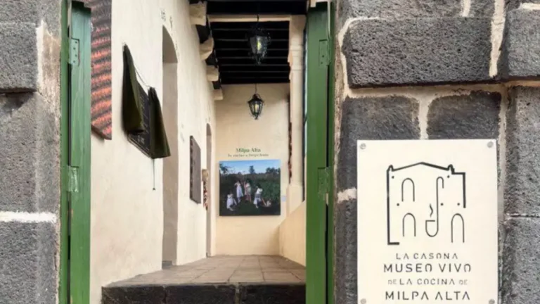 Imagen del artículo Hay un nuevo museo en la Ciudad de México, te lo presentamos