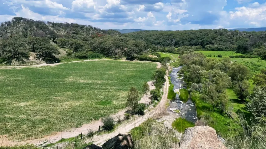 Parque Recreativo La Hiedra