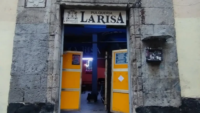 Imagen del artículo Pulquerías de la CDMX con más de un siglo de historia