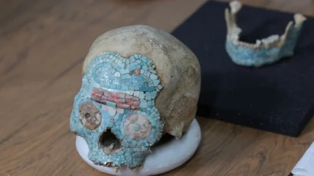 Cráneo de turquesa regresa a México tras seis décadas y guarda un misterio